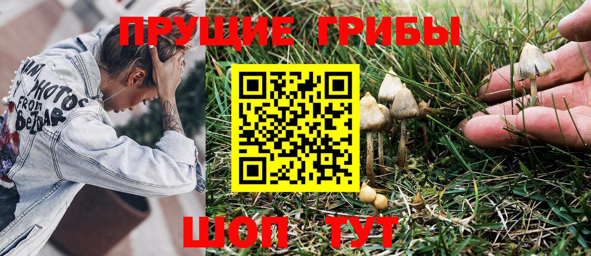 Галлюциногенные грибы MAGIC MUSHROOMS Заринск