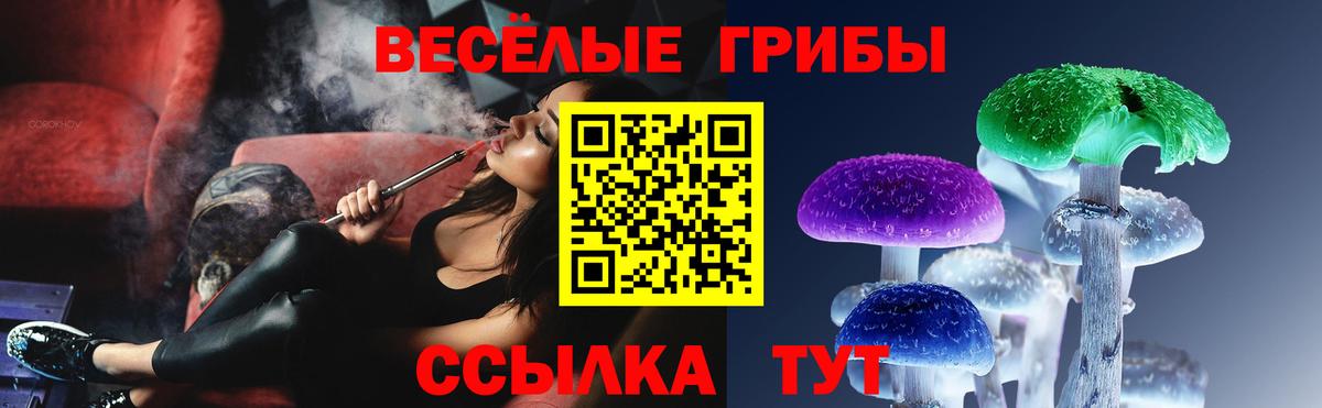 Псилоцибиновые грибы GOLDEN TEACHER  Вход с VPN  Заринск 