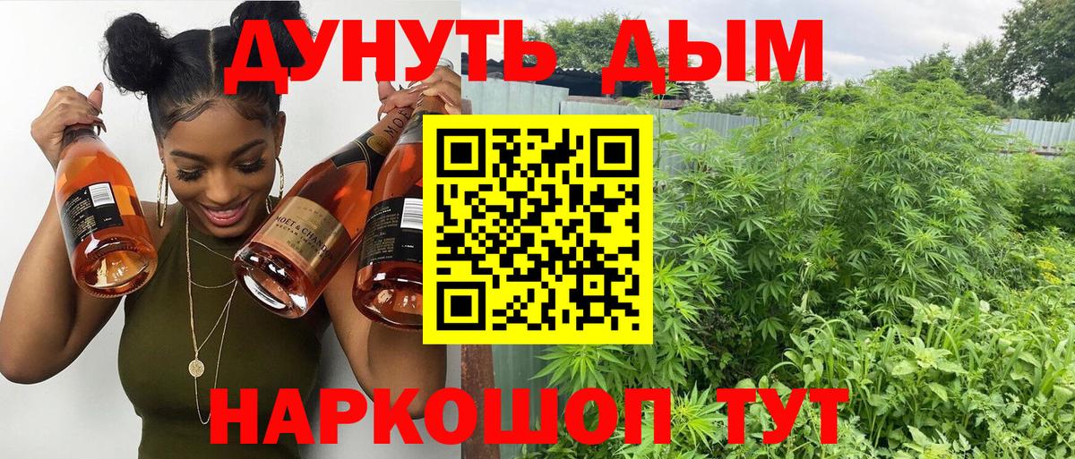Канабис семена  Бошки Шишки VHQ  Марихуана планчик  Заринск  Вход с VPN 